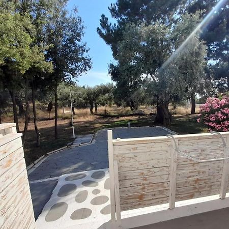Orama Thassos Hotel Скала Сотирос Екстериор снимка