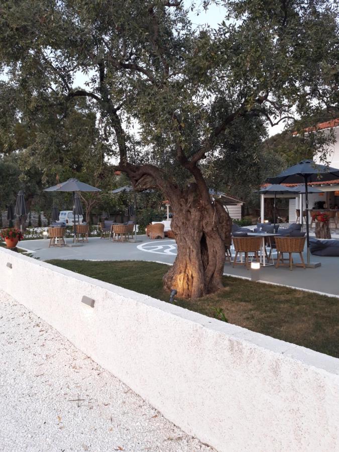 Orama Thassos Hotel Скала Сотирос Екстериор снимка